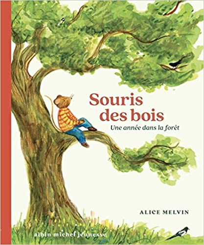 souris des bois.jpg